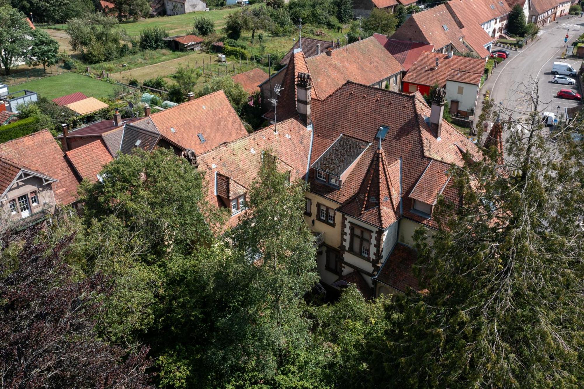Chez Jeanne A La Villa Gruber La Petite-Pierre Eksteriør bilde