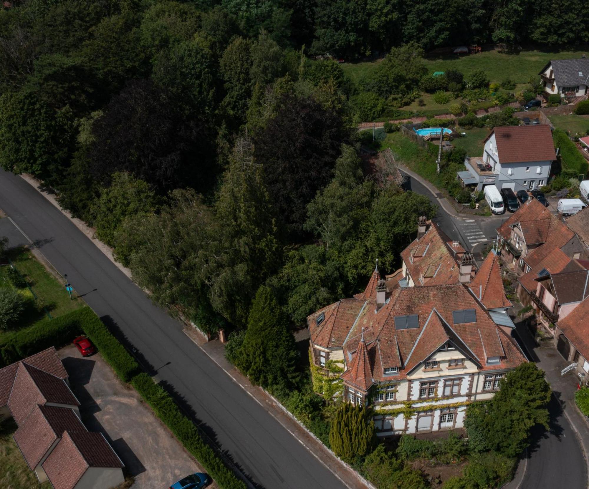Chez Jeanne A La Villa Gruber La Petite-Pierre Eksteriør bilde